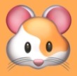 WWW,313av·COM网站APPAPP应用