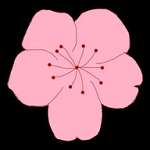 WWW,av275·COM网站APP图片